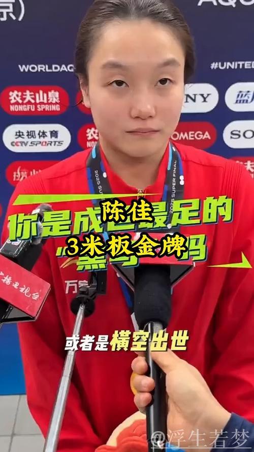 陈佳女子3米跳板折桂 首次问鼎世界冠军 陈佳女子3米跳板折桂 首次问鼎世界冠军